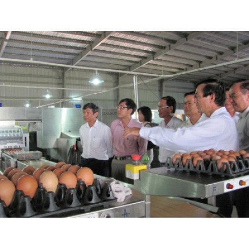 Lắp đặt tổng đài điện thoại CÔNG TY TNHH QL VIETNAM AGRORESOURCES TẠI TP.HỒ CHÍ MINH